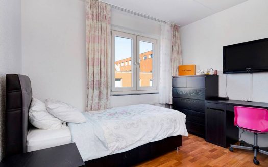 Ferdinand Bolstraat 29
