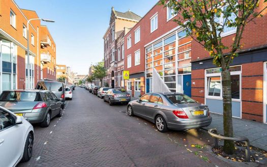 Ferdinand Bolstraat 29