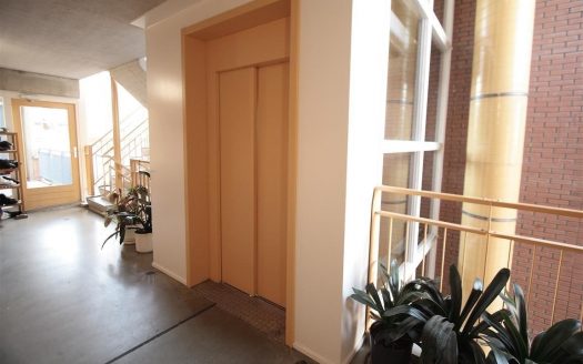 Thijssestraat 241