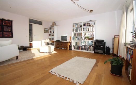 Thijssestraat 241