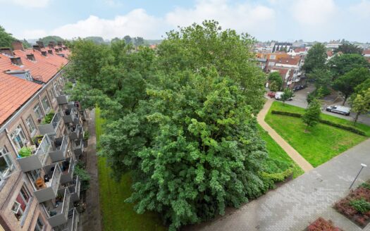 Adamshofstraat 59 a