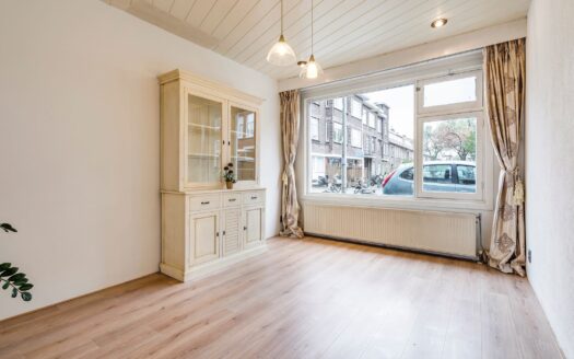 Jan ten Brinkstraat 253