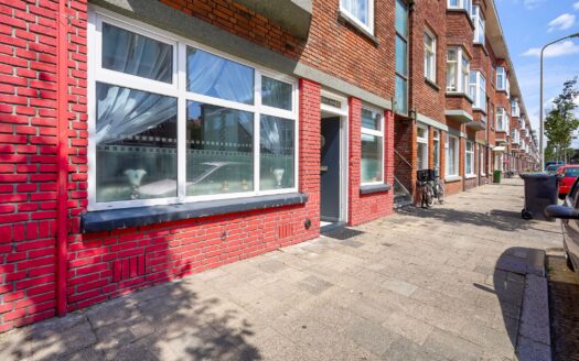 Jan ten Brinkstraat 263