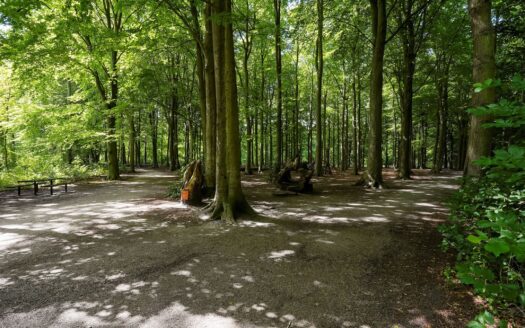 Cornelis Houtmanstraat 86