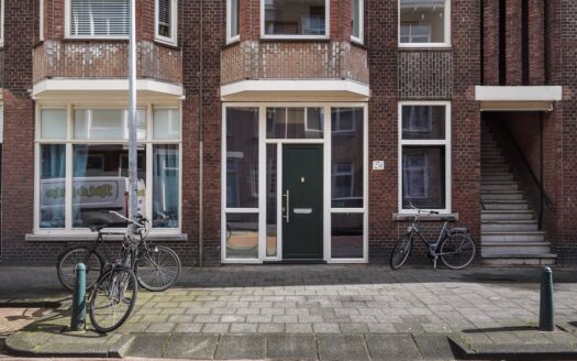 Maasstraat 234