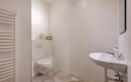 Maasstraat 234