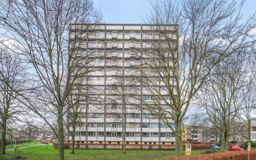 Roggekamp 385