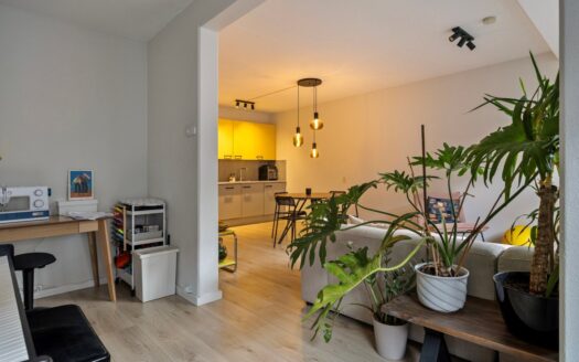 Wagenstraat 85-E