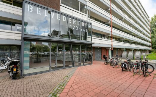 Belvédèrebos 230