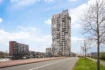 slider-thumb