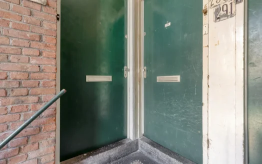 Maasstraat 293